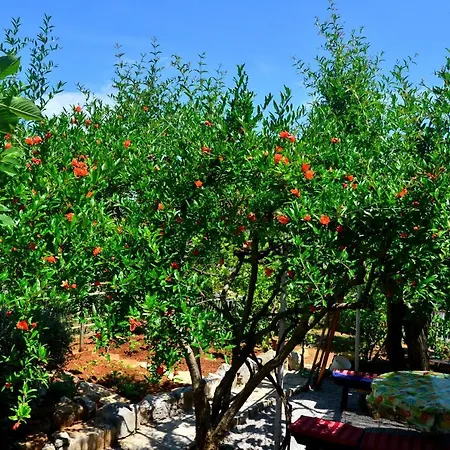 Bonbon Apartamento *